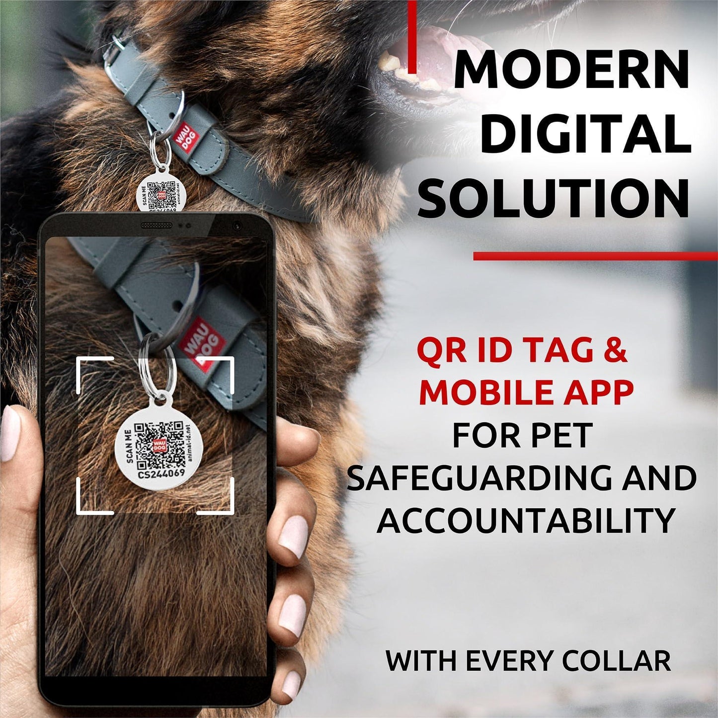 WAUDOG Long Lasting Leather Dog Collar with Durable Buckle D Ring & QR Dog Tag GRAY XLARGE For Pet With Love