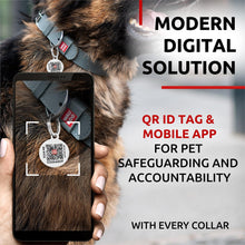 Load image into Gallery viewer, WAUDOG Long Lasting Leather Dog Collar with Durable Buckle D Ring &amp; QR Dog Tag GRAY XLARGE

