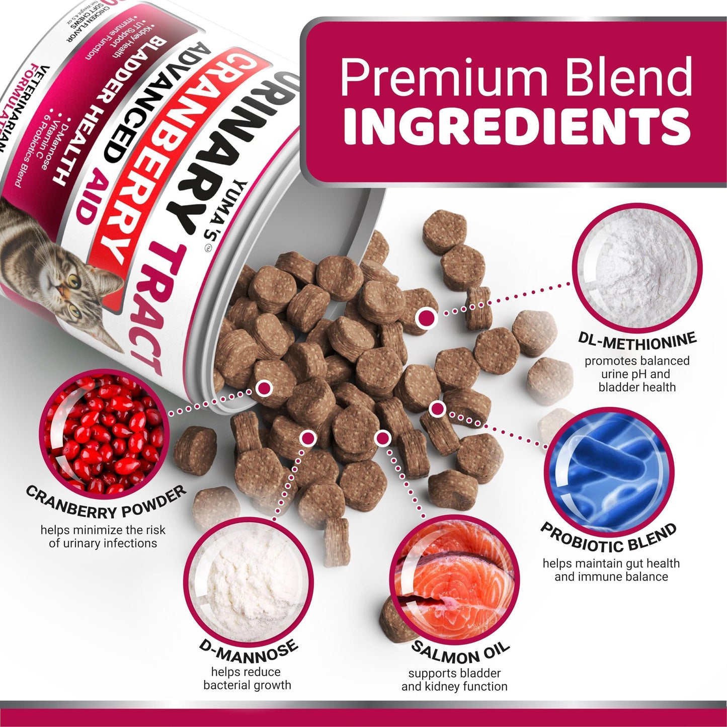 YUMA'S Cat Urinary Tract Infection Multivitamin Treatment and Supplement. 120 Chews For Pet With Love