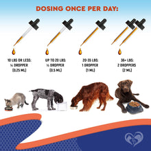 Load image into Gallery viewer, Beloved Pets Probiotics &amp; Prebiotics with Enzymes Food Supplements for Dogs &amp; Cats 2Oz
