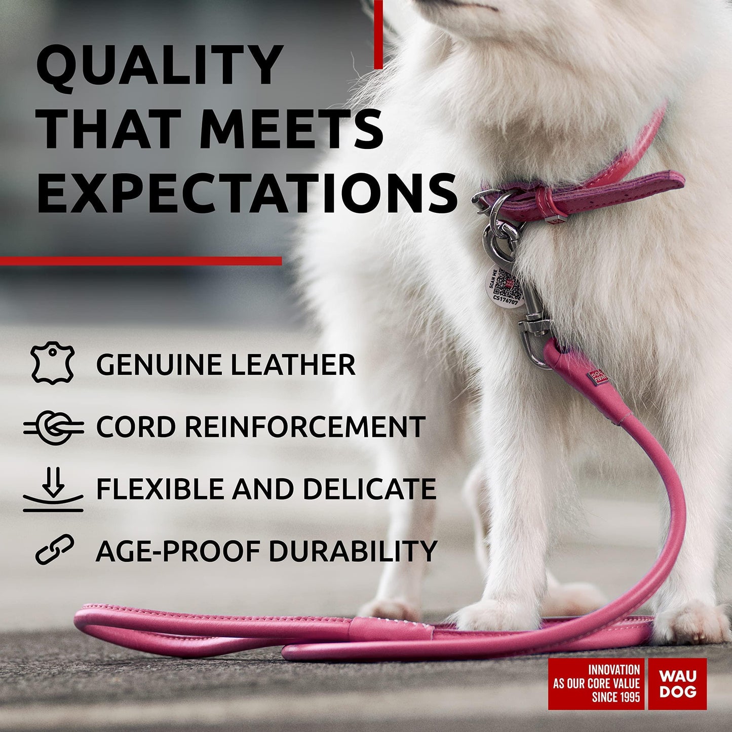 Rolled Leather Dog Leash 4Ft * 0.3 in for Small Medium and Large Dogs   Heavy For Pet With Love
