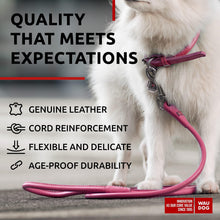 Load image into Gallery viewer, Rolled Leather Dog Leash 4Ft * 0.3 in for Small Medium and Large Dogs   Heavy
