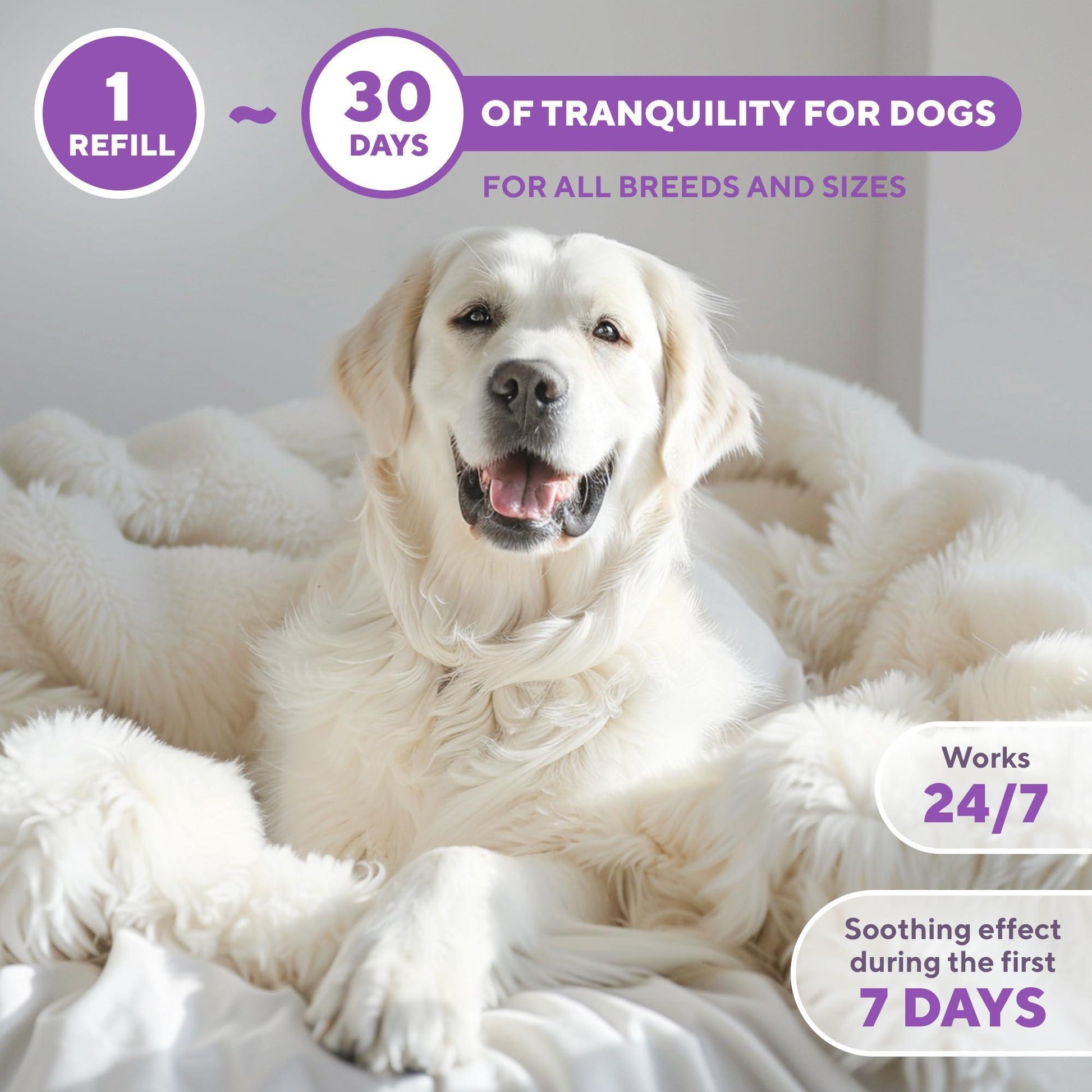 Beloved Pets RELAXIV Calming Pheromone Diffuser Refill for Dogs 2 Pack For Pet With Love