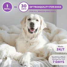 Load image into Gallery viewer, Beloved Pets Anxiety Calming Pheromone Diffuser Refill for Dogs 2 Pack
