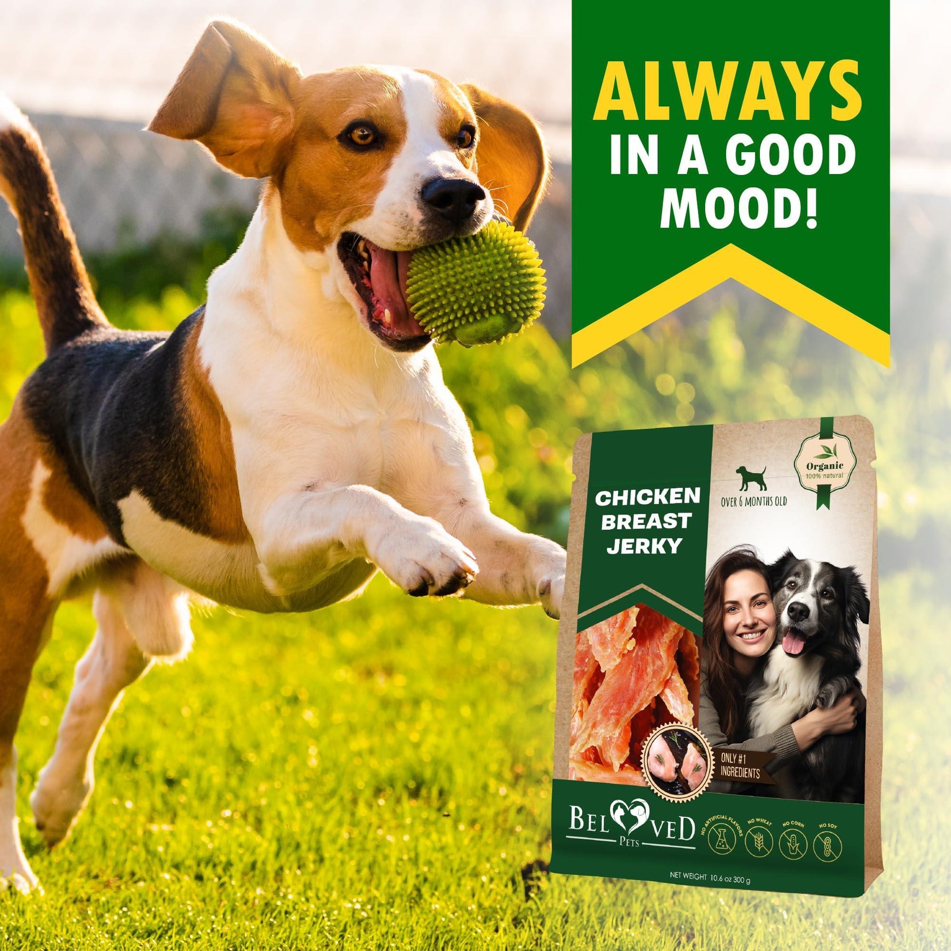 Beloved Pets All Natural and Organic Healthy Snacks Chicken Breast Jerky Dog Treats. Grain Free and High Protein. Human Grade Pet Chews (300 Gram) For Pet With Love