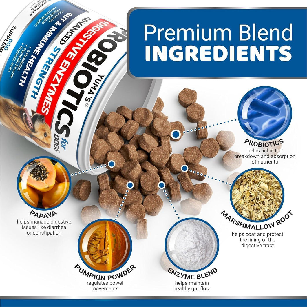 Canine Probiotic Chews with Digestive Enzymes