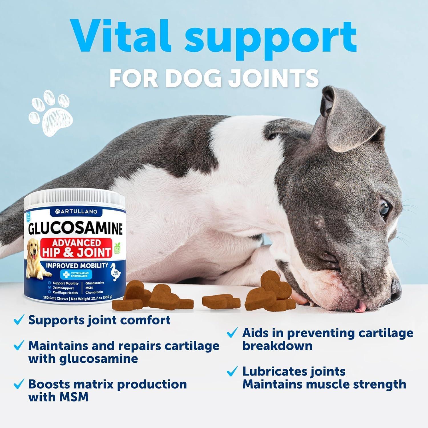 Artullano Glucosamine Hip and Joint Supplement for Dogs w/Chondroitin, Hemp Oil, MSM 180 Chews For Pet With Love