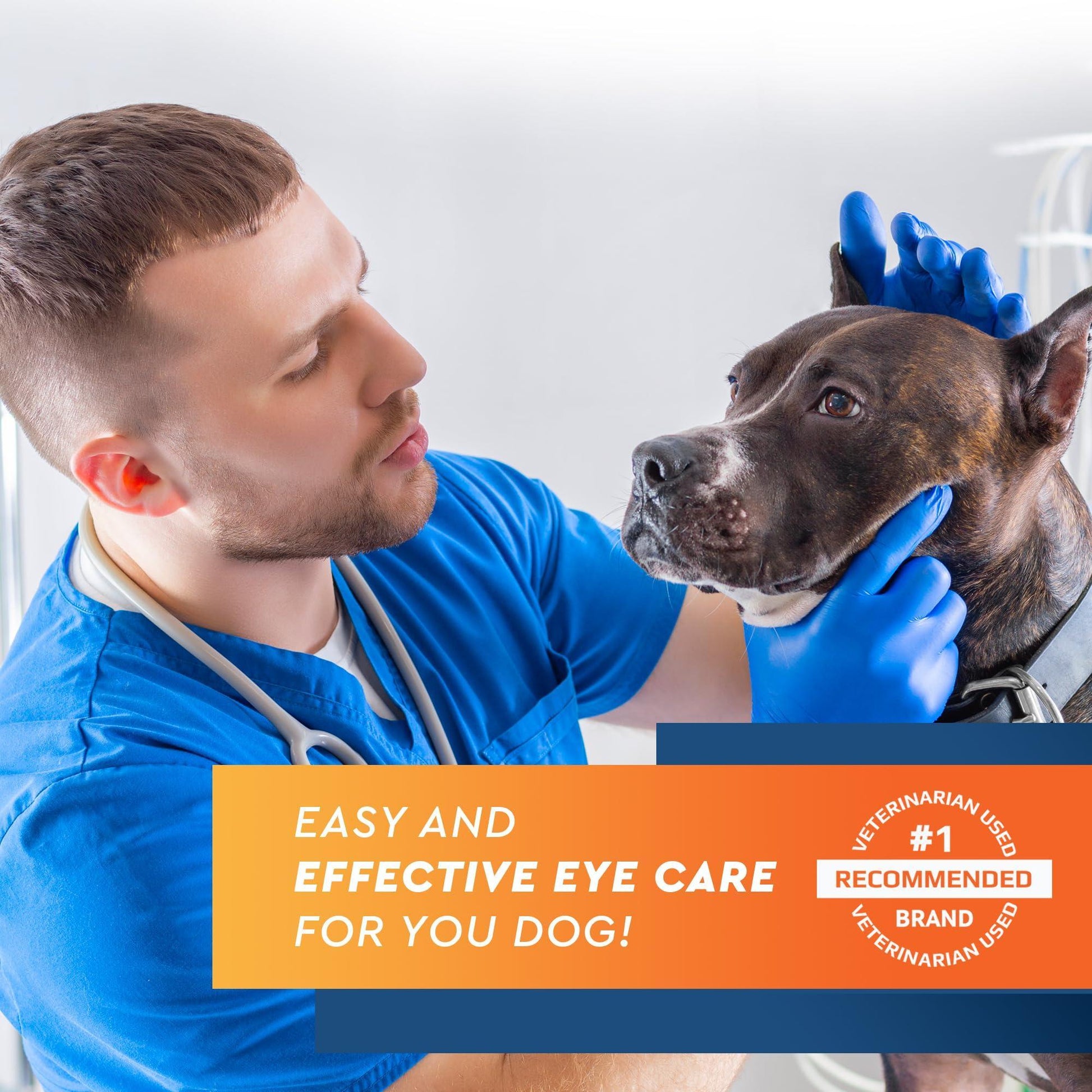 Beloved Pets All Pets Eye Wash Drops for Pink Eye Relief, Infections & Runny Dry Eyes 3.4 Oz For Pet With Love
