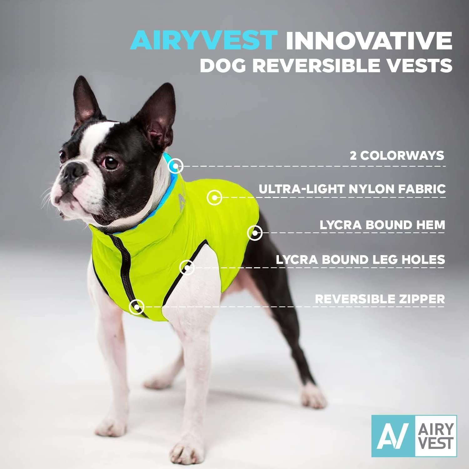 AiryVest Lightweight Reversible Winter Dog Jacket - Water Resistant & Windproof - S - Green/Blue For Pet With Love