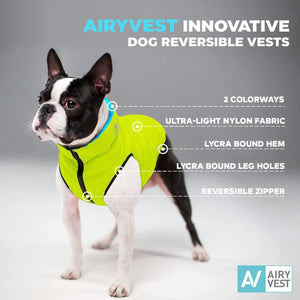 AiryVest Lightweight Reversible Winter Dog Jacket - Water Resistant & Windproof - S - Green/Blue