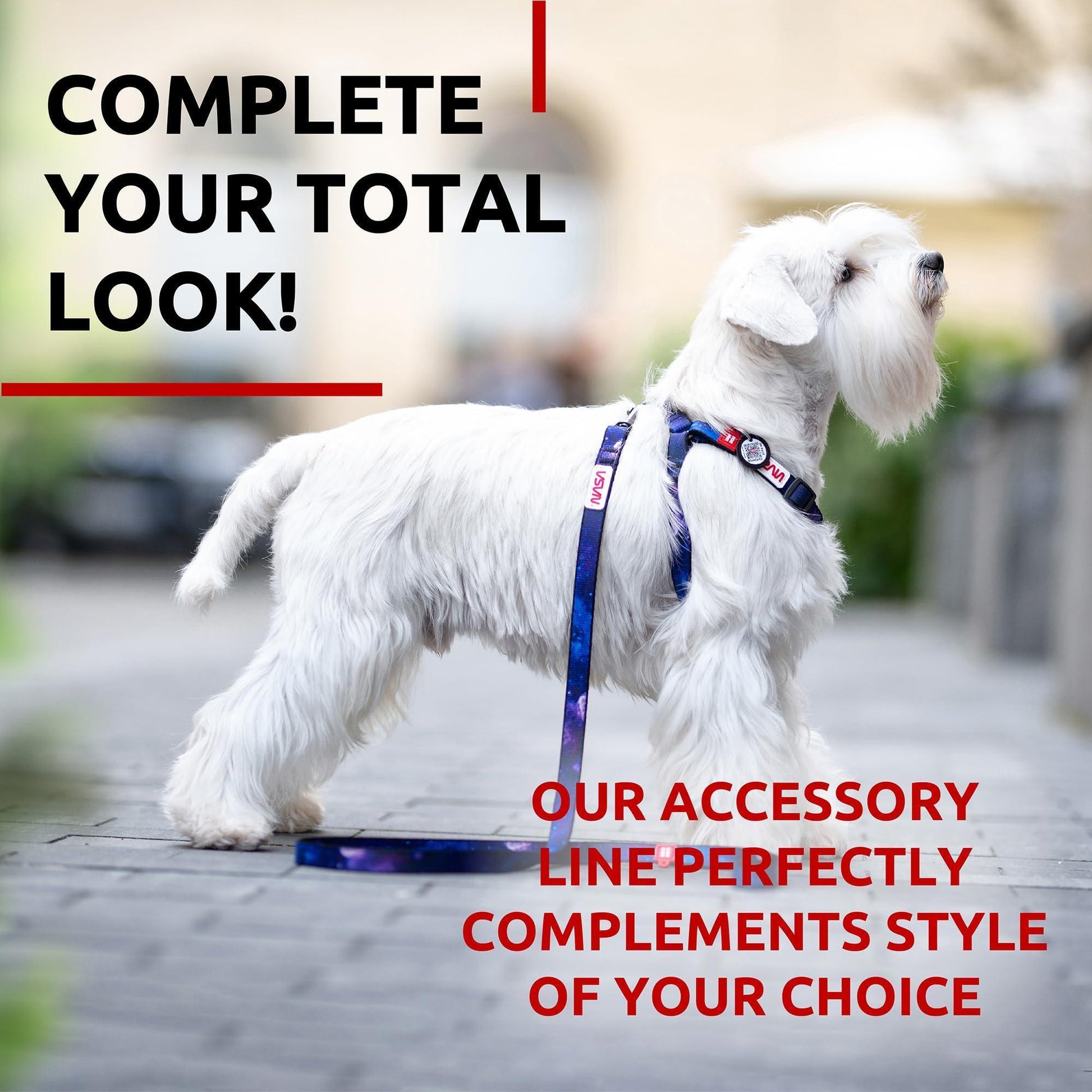 WAUDOG Nylon Dog Leash for Small Dogs and Medium Dogs 4 Ft   Strong Dog Leash For Pet With Love