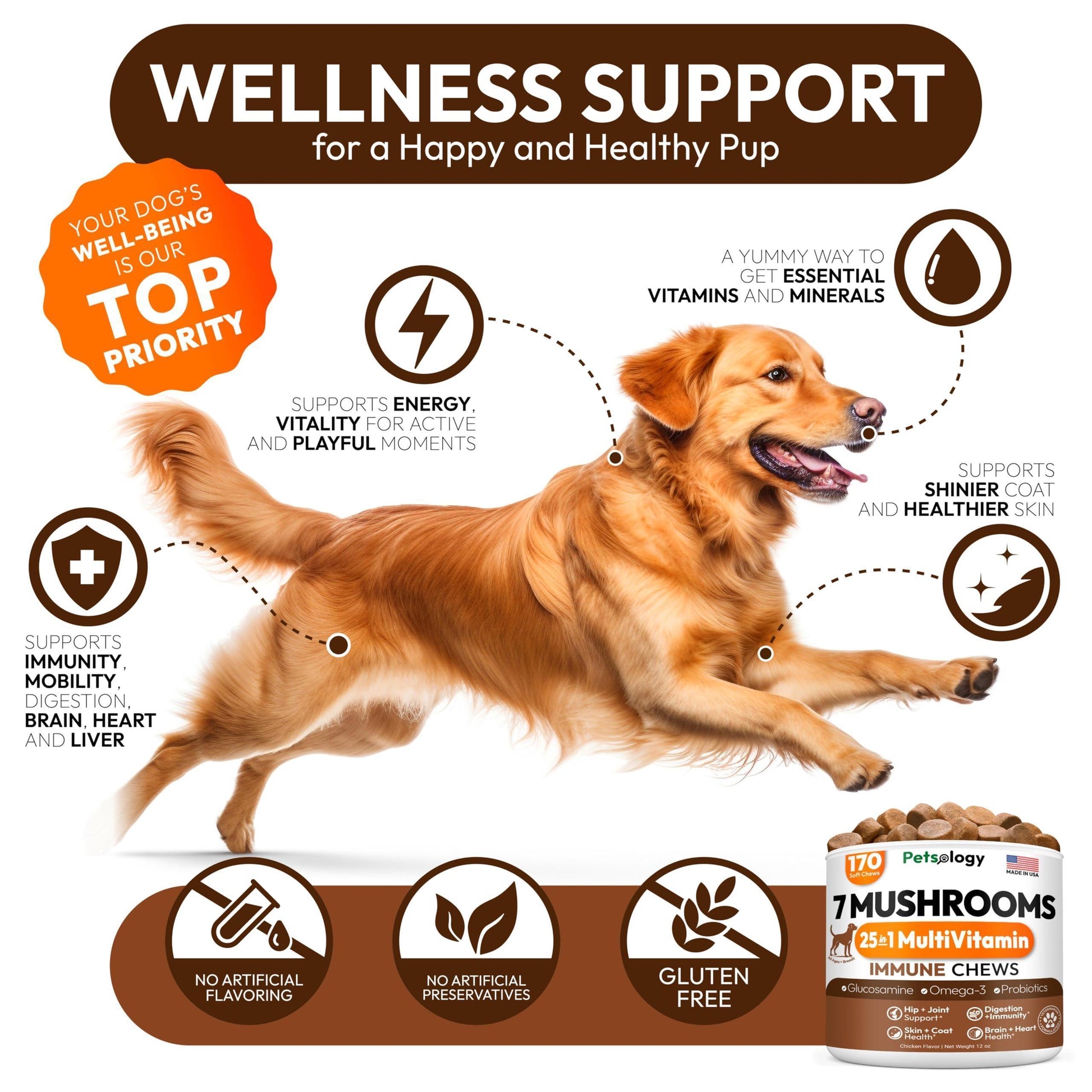 PETSOLOGY Mushroom Multivitamin Supplement for Dogs with Glucosamine, Omega 3 and Probiotics. 170 Chews For Pet With Love