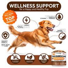 Load image into Gallery viewer, PETSOLOGY Mushroom Multivitamin Supplement for Dogs with Glucosamine, Omega 3 and Probiotics. 170 Chews
