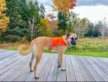 Load image into Gallery viewer, Lite Dog Vest. Coverage to Mid Back. Reflective Hi Visibility Blaze Orange
