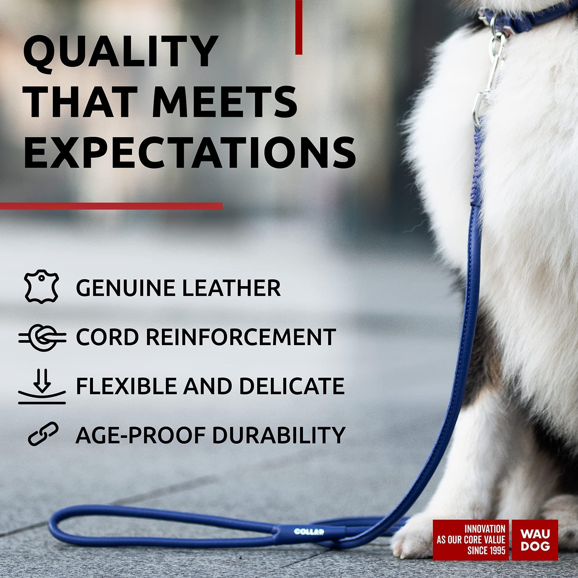 Rolled Leather Dog Leash 4Ft * 0.5 in for Small Medium and Large Dogs   Heavy For Pet With Love