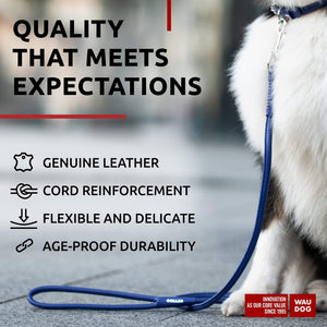 Rolled Leather Dog Leash 4Ft * 0.5 in for Small Medium and Large Dogs   Heavy