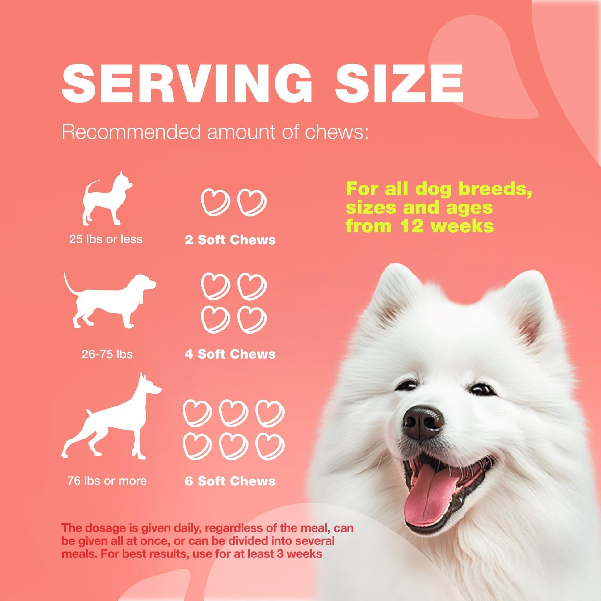 Dog Flea and Tick Treatment Chews   Flea and Tick Prevention for Dogs   Flea & For Pet With Love