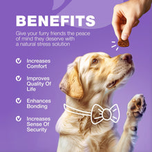 Load image into Gallery viewer, CHEWIA 15in1 Dog Multivitamin Immune Support, Skin &amp; Coat, Mobility Support 180 Ct
