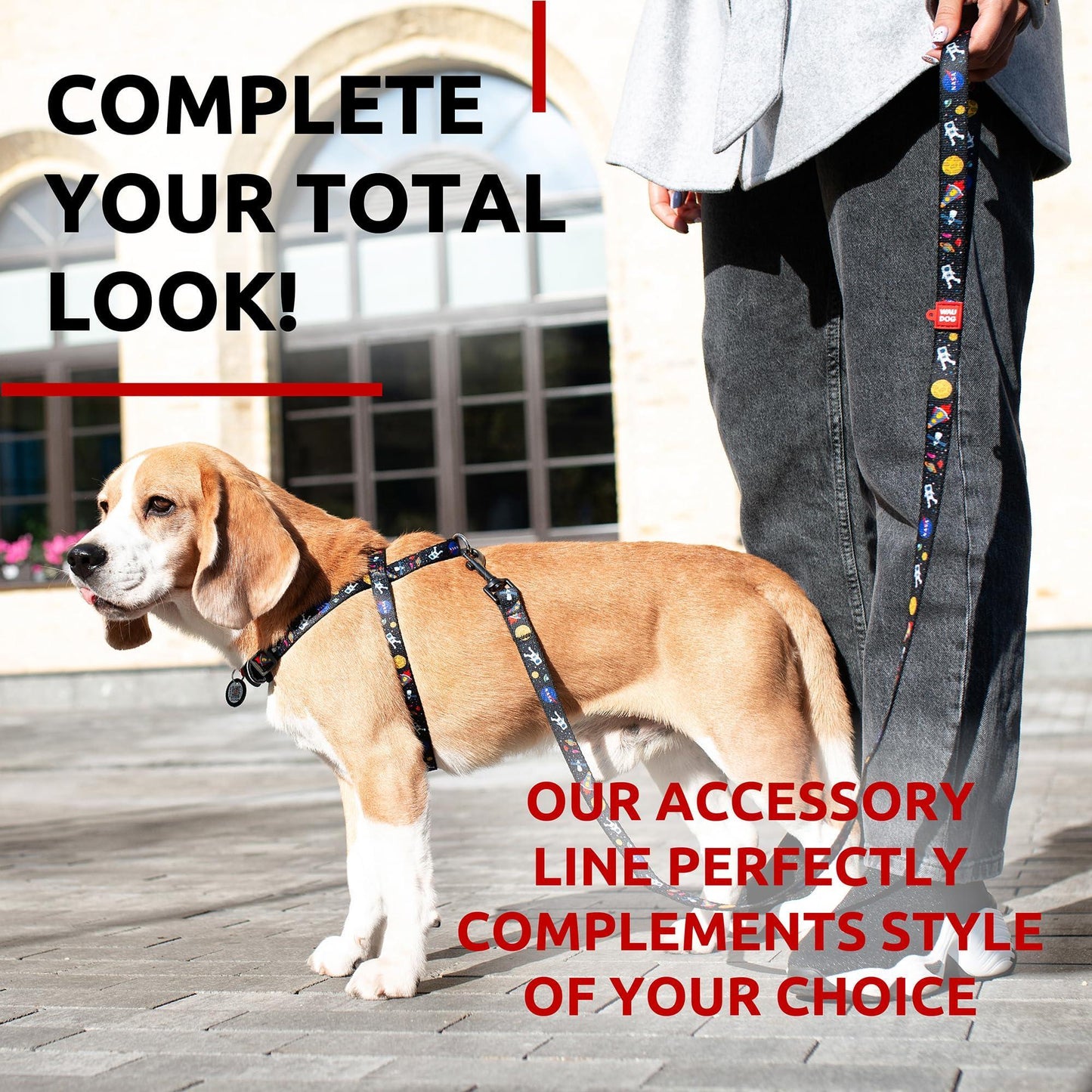 WAUDOG Nylon Dog Leash for Small Dogs and Medium Dogs 4 Ft   Strong Dog Leash For Pet With Love