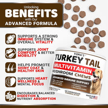 Load image into Gallery viewer, YUMA'S Turkey Tail Mushroom Dog Vitamins and Supplements for Dogs. 170 Chews For Pet With Love
