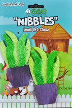 Load image into Gallery viewer, AE Cage Company Nibbles Potted Plants Loofah Chew Toy For Pet With Love

