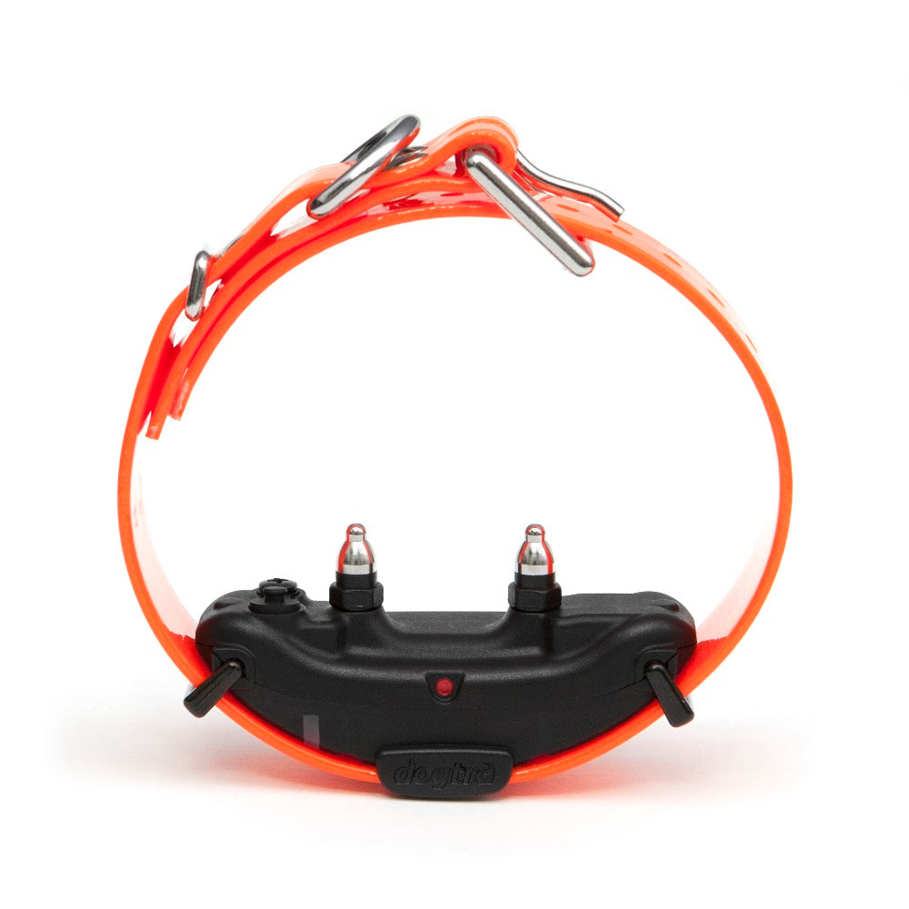 Dogtra ARC Extra Collar Orange Orange For Pet With Love