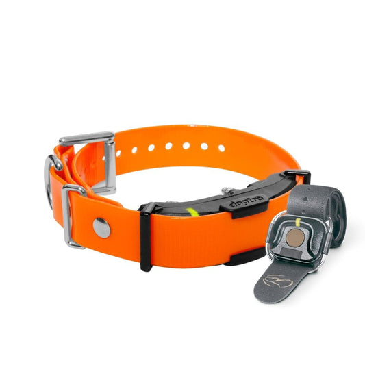 Dogtra ARC Handsfree Plus Boost and Lock Additional Collar Orange For Pet With Love