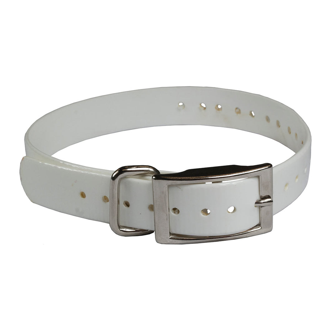 The Buzzard's Roost Replacement Collar Strap 3/4 White 3/4 x 24