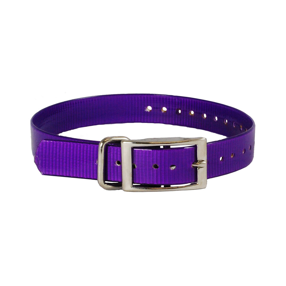 The Buzzard's Roost Replacement Collar Strap 1 Purple 1 x 24 For Pet With Love