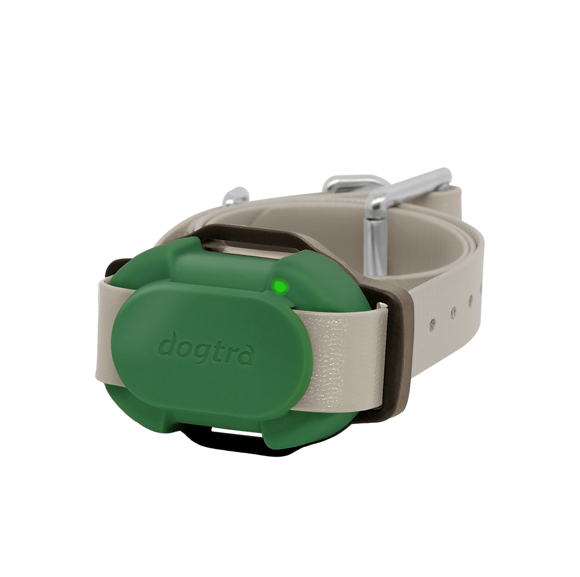 Dogtra CUE Additional Receiver Collar Green For Pet With Love