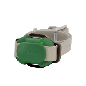 Dogtra CUE Additional Receiver Collar Green