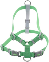 Load image into Gallery viewer, Coastal Pet Pro Waterproof Dog Harness 3/4 Lime For Pet With Love
