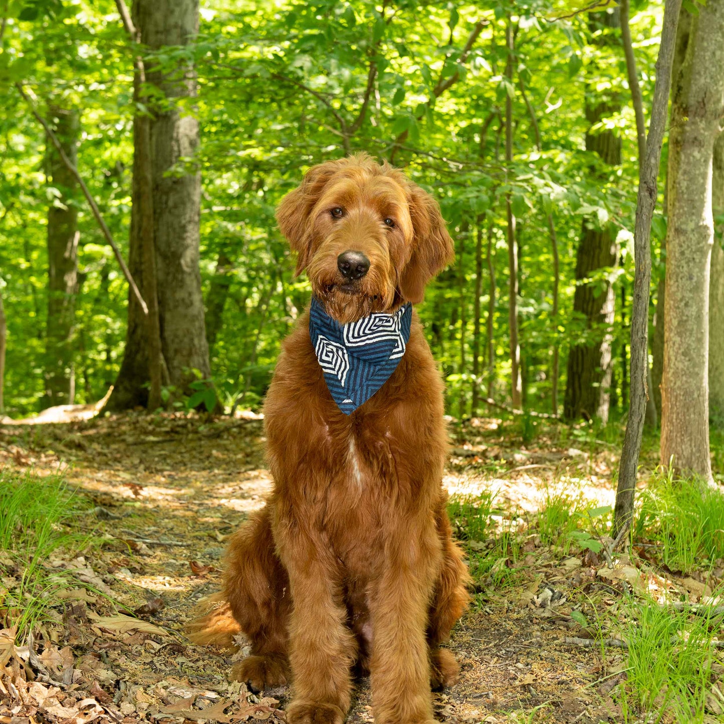 DGS Pet Products Unbugz-It Bandana Extra Large Square Blue 16 x 10 x 0.1 For Pet With Love