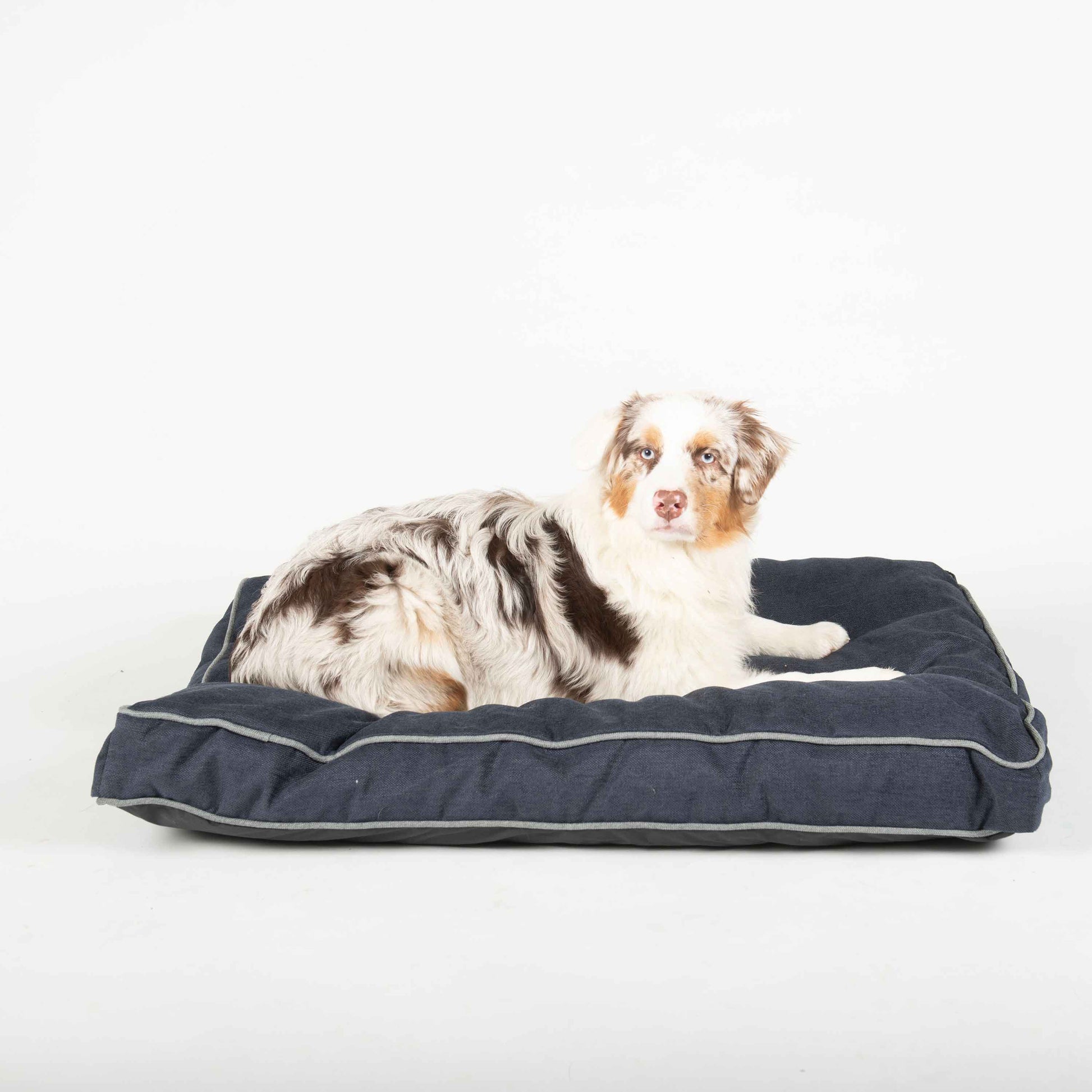 DGS Pet Products Repelz-It Upholstery Chenille Rectangle Pet Bed Medium Blue/Grey 28 x 40 x 4.5 For Pet With Love