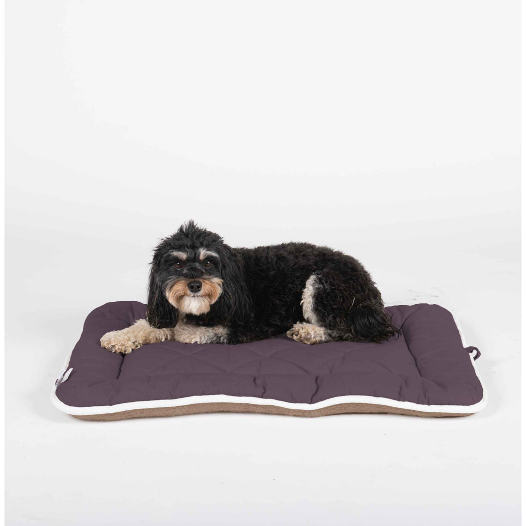 DGS Pet Products Pet Cotton Canvas Sleeper Cushion Large Pebble Grey 23 x 36 x 1