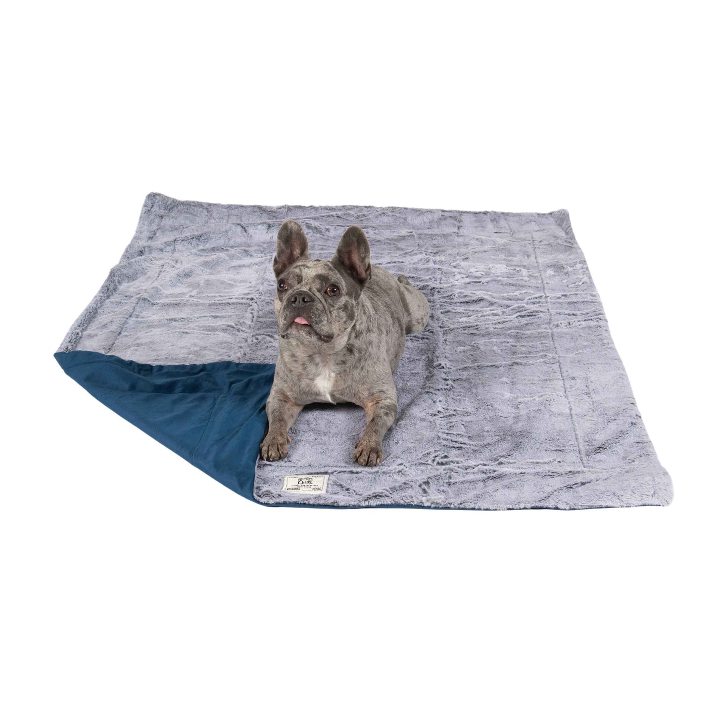 DGS Pet Products Chill Kuzzi FIR Blanket Large Blue 40 x 50 x 0.5 For Pet With Love