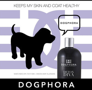 Dogphora Detox Diva Shampoo for Dogs For Pet With Love