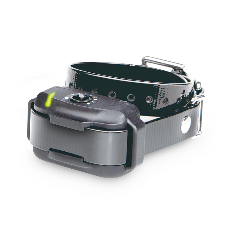 Dogtra Add-A-Collar for E-Fence 3500 For Pet With Love
