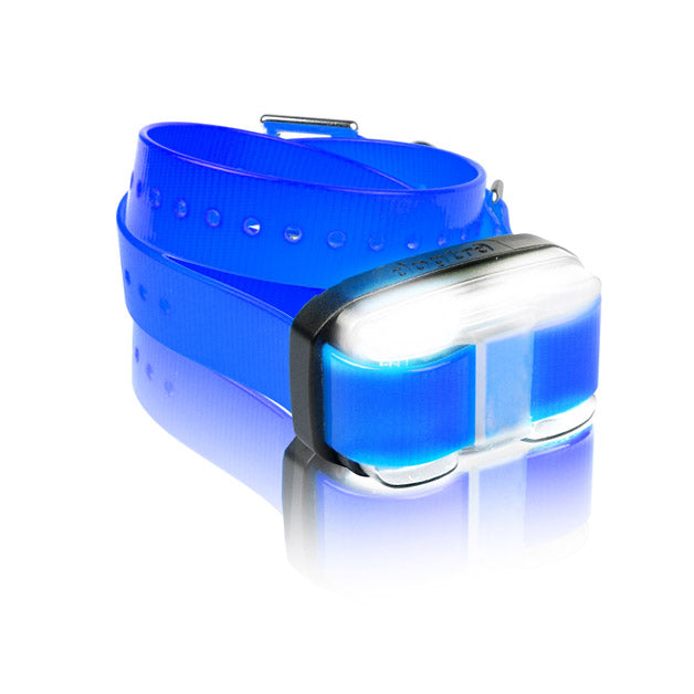 Dogtra EDGE 1 Mile Extra Dog Collar Blue For Pet With Love