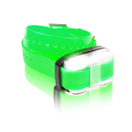 Dogtra EDGE 1 Mile Extra Dog Collar Green For Pet With Love