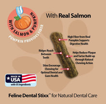 Load image into Gallery viewer, Emerald Pet Feline Dental Stixx Salmon and Pumpkin Recipe For Pet With Love
