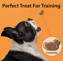 Load image into Gallery viewer, Emerald Pet Little Duckies Dog Treats with Duck and Pumpkin For Pet With Love
