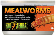 Load image into Gallery viewer, Exo Terra Canned Mealworms Specialty Reptile Food For Pet With Love
