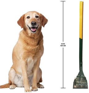 Four Paws Wee Wee Pan and Rake Set Small For Pet With Love