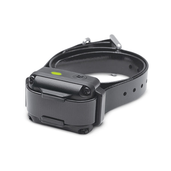 Dogtra iQ Vibration Dog Bark Control Collar Black For Pet With Love