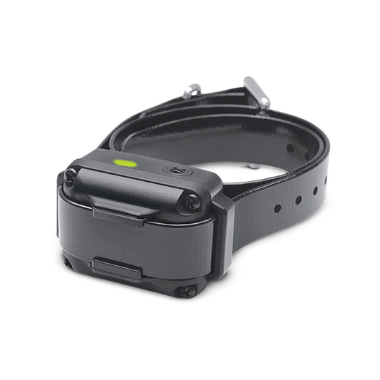 Dogtra iQ Vibration Dog Bark Control Collar Black For Pet With Love