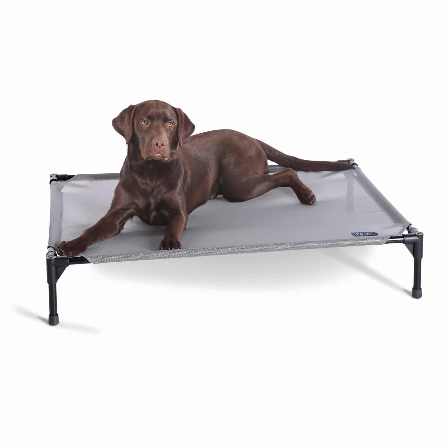 K&H Pet Products All Weather Pet Cot Large Gray 30 x 42 x 7 For Pet With Love