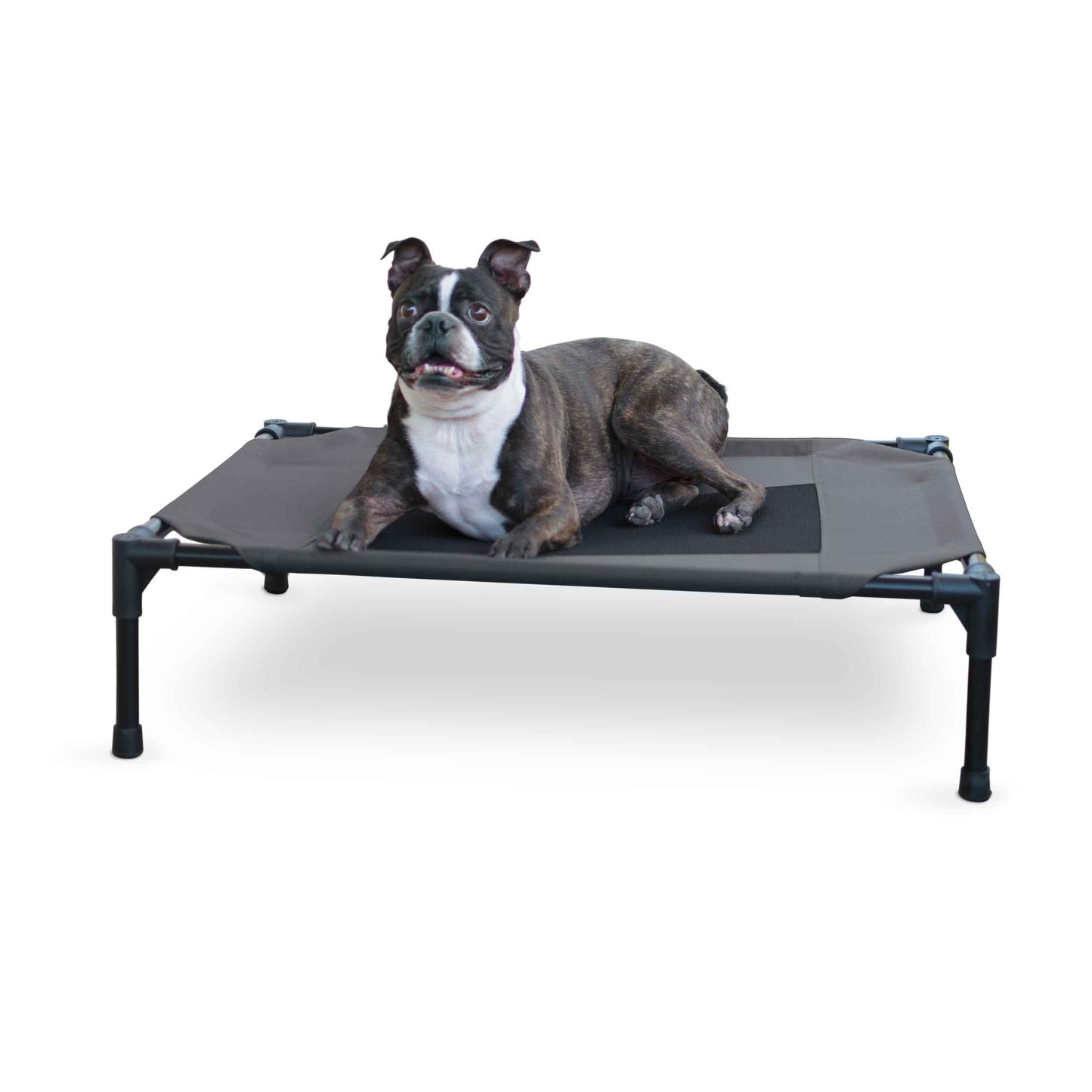 K&H Pet Products Original Pet Cot Elevated Pet Bed Medium Charcoal/Black 25 x 32 x 7 For Pet With Love