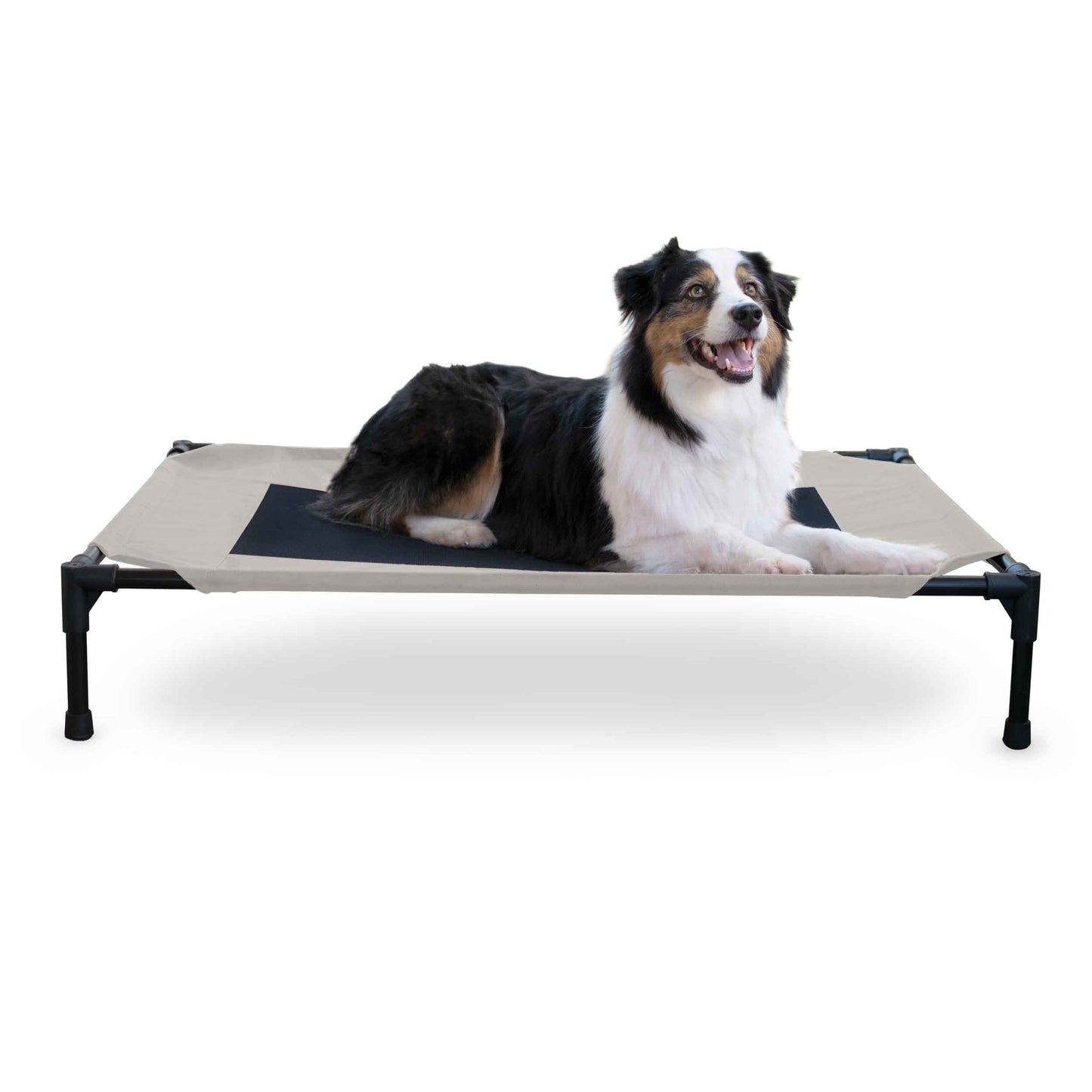 K&H Pet Products Original Pet Cot Elevated Pet Bed Large Taupe/Black 30 x 42 x 7 For Pet With Love