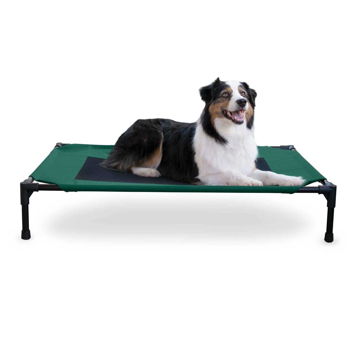 K&H Pet Products Original Pet Cot Elevated Pet Bed Large Green/Black 30 x 42 x 7 For Pet With Love